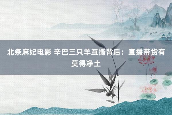 北条麻妃电影 辛巴三只羊互撕背后：直播带货有莫得净土