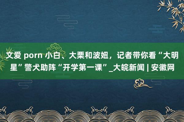 文爱 porn 小白、大栗和波妞，记者带你看“大明星”警犬助阵“开学第一课”_大皖新闻 | 安徽网