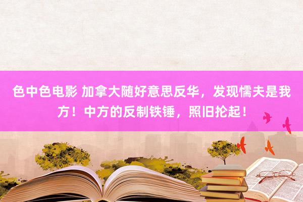 色中色电影 加拿大随好意思反华，发现懦夫是我方！中方的反制铁锤，照旧抡起！