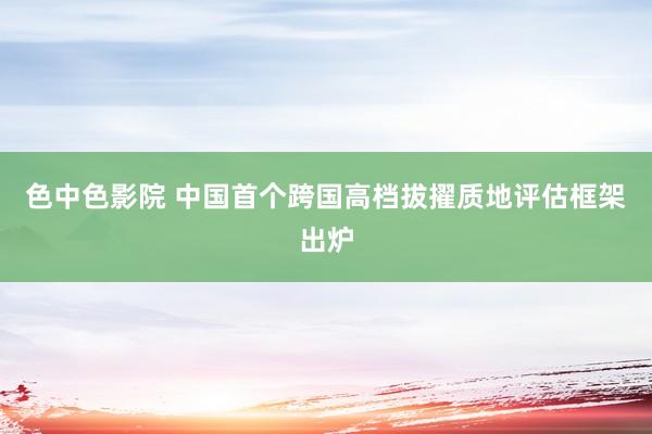 色中色影院 中国首个跨国高档拔擢质地评估框架出炉