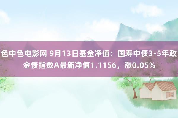 色中色电影网 9月13日基金净值：国寿中债3-5年政金债指数A最新净值1.1156，涨0.05%