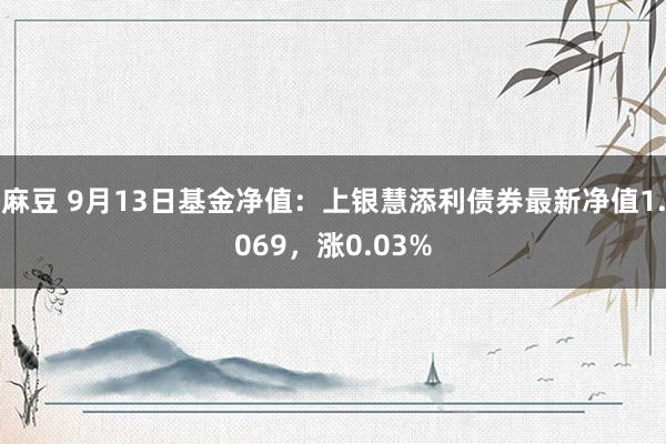 麻豆 9月13日基金净值：上银慧添利债券最新净值1.069，涨0.03%