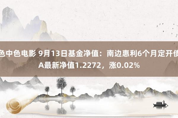 色中色电影 9月13日基金净值：南边惠利6个月定开债A最新净值1.2272，涨0.02%