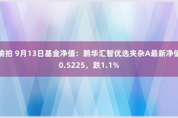 偷拍 9月13日基金净值：鹏华汇智优选夹杂A最新净值0.5225，跌1.1%