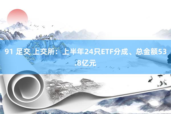 91 足交 上交所：上半年24只ETF分成、总金额53.8亿元