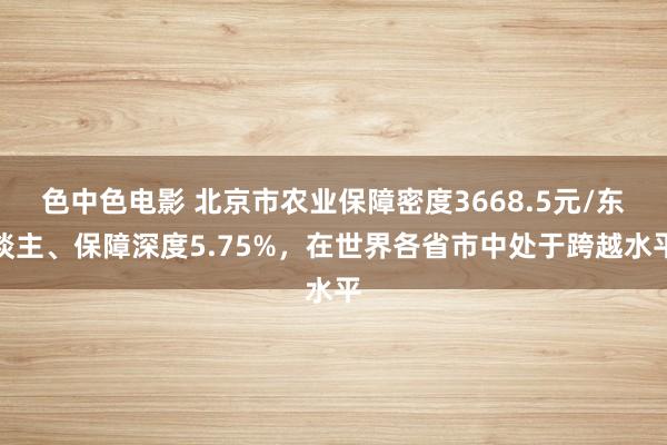 色中色电影 北京市农业保障密度3668.5元/东谈主、保障深度5.75%，在世界各省市中处于跨越水平