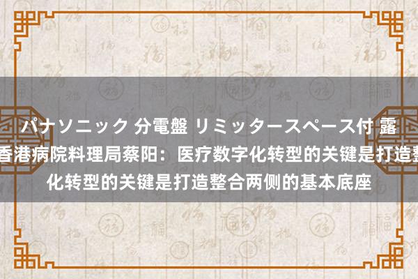 パナソニック 分電盤 リミッタースペース付 露出・半埋込両用形 香港病院料理局蔡阳：医疗数字化转型的关键是打造整合两侧的基本底座