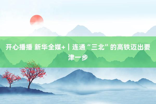 开心播播 新华全媒+｜连通“三北”的高铁迈出要津一步