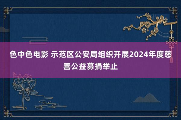 色中色电影 示范区公安局组织开展2024年度慈善公益募捐举止