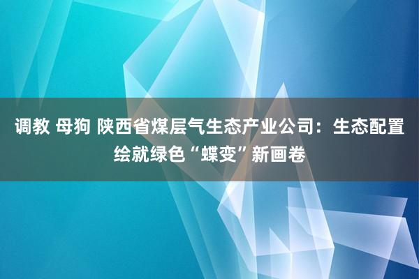 调教 母狗 陕西省煤层气生态产业公司：生态配置绘就绿色“蝶变”新画卷