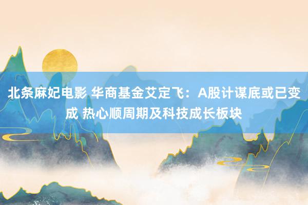 北条麻妃电影 华商基金艾定飞：A股计谋底或已变成 热心顺周期及科技成长板块