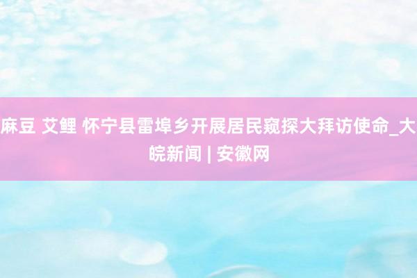 麻豆 艾鲤 怀宁县雷埠乡开展居民窥探大拜访使命_大皖新闻 | 安徽网