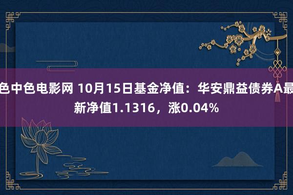 色中色电影网 10月15日基金净值：华安鼎益债券A最新净值1.1316，涨0.04%