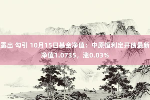 露出 勾引 10月15日基金净值：中原恒利定开债最新净值1.0735，涨0.03%