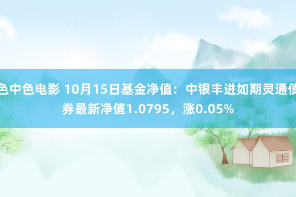 色中色电影 10月15日基金净值：中银丰进如期灵通债券最新净值1.0795，涨0.05%