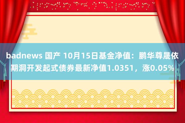 badnews 国产 10月15日基金净值：鹏华尊晟依期洞开发起式债券最新净值1.0351，涨0.05%