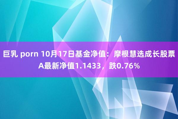 巨乳 porn 10月17日基金净值：摩根慧选成长股票A最新净值1.1433，跌0.76%