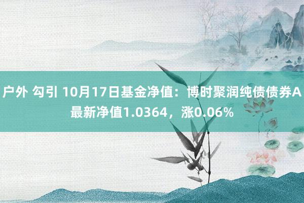 户外 勾引 10月17日基金净值：博时聚润纯债债券A最新净值1.0364，涨0.06%