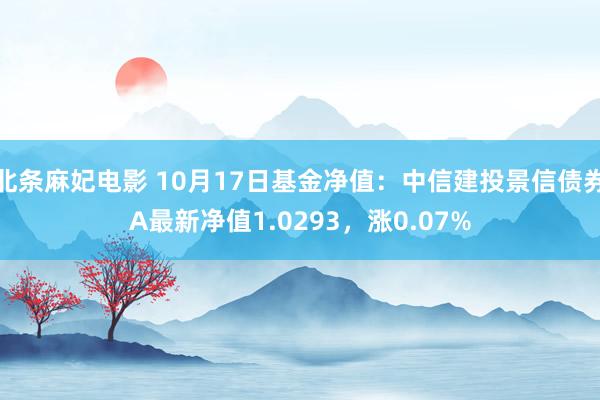 北条麻妃电影 10月17日基金净值：中信建投景信债券A最新净值1.0293，涨0.07%