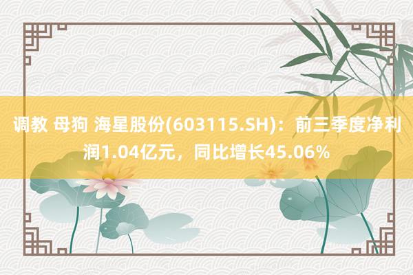 调教 母狗 海星股份(603115.SH)：前三季度净利润1.04亿元，同比增长45.06%