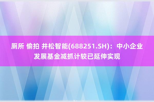 厕所 偷拍 井松智能(688251.SH)：中小企业发展基金减抓计较已延伸实现