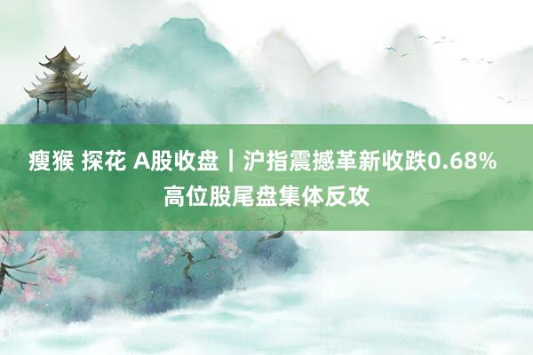 瘦猴 探花 A股收盘｜沪指震撼革新收跌0.68% 高位股尾盘集体反攻