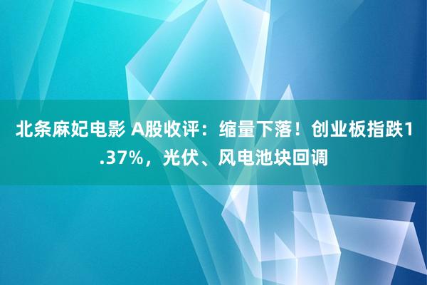 北条麻妃电影 A股收评：缩量下落！创业板指跌1.37%，光伏、风电池块回调