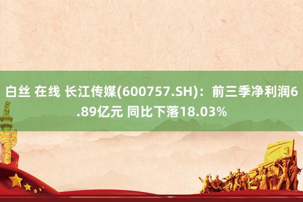 白丝 在线 长江传媒(600757.SH)：前三季净利润6.89亿元 同比下落18.03%