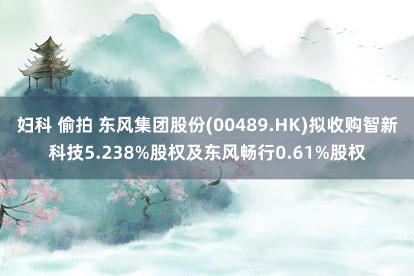 妇科 偷拍 东风集团股份(00489.HK)拟收购智新科技5.238%股权及东风畅行0.61%股权