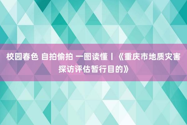 校园春色 自拍偷拍 一图读懂丨《重庆市地质灾害探访评估暂行目的》