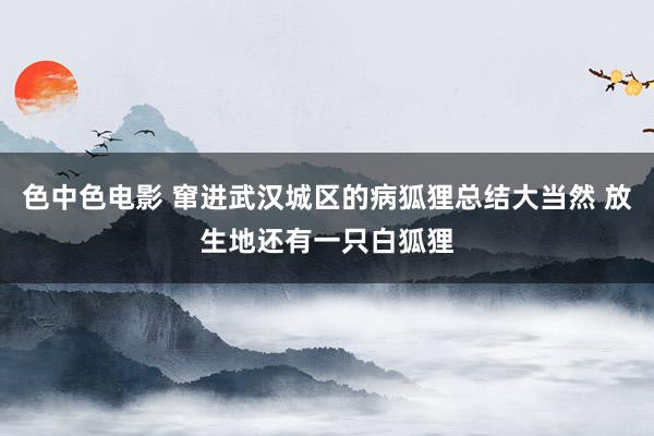 色中色电影 窜进武汉城区的病狐狸总结大当然 放生地还有一只白狐狸