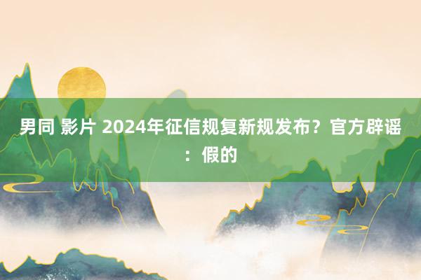 男同 影片 2024年征信规复新规发布？官方辟谣：假的