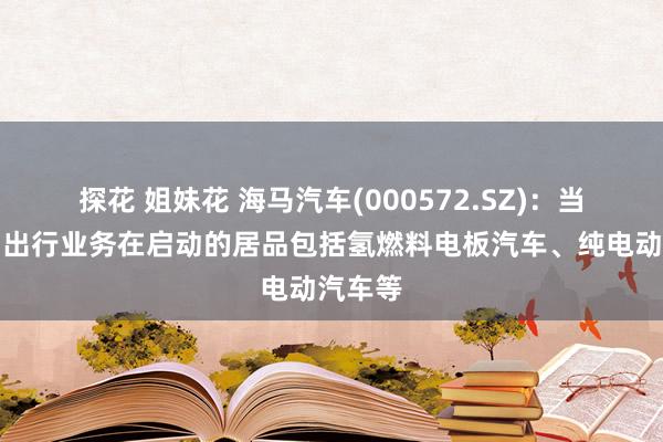 探花 姐妹花 海马汽车(000572.SZ)：当今公司出行业务在启动的居品包括氢燃料电板汽车、纯电动汽车等