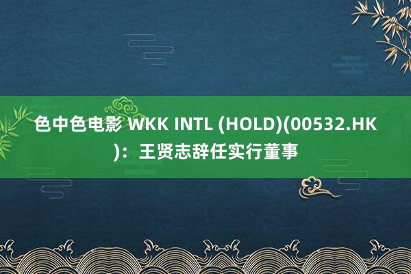 色中色电影 WKK INTL (HOLD)(00532.HK)：王贤志辞任实行董事