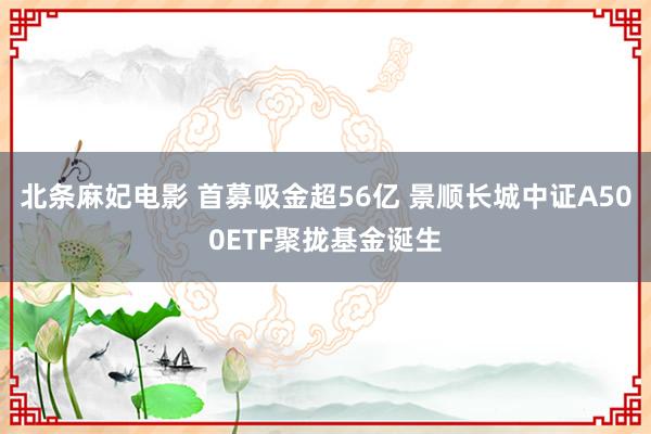 北条麻妃电影 首募吸金超56亿 景顺长城中证A500ETF聚拢基金诞生