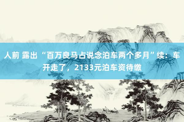 人前 露出 “百万良马占说念泊车两个多月”续：车开走了，2133元泊车资待缴