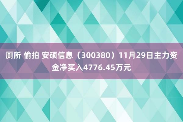 厕所 偷拍 安硕信息（300380）11月29日主力资金净买入4776.45万元