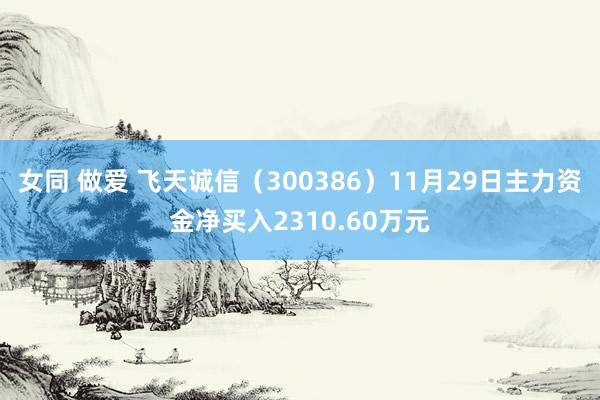 女同 做爱 飞天诚信（300386）11月29日主力资金净买入2310.60万元