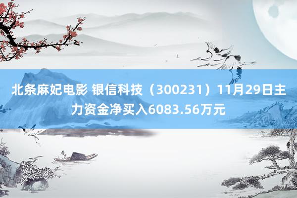 北条麻妃电影 银信科技（300231）11月29日主力资金净买入6083.56万元