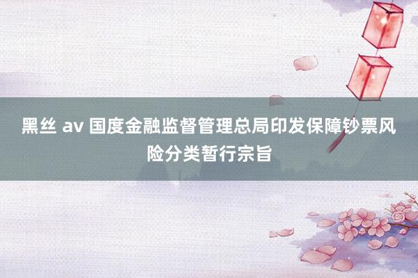 黑丝 av 国度金融监督管理总局印发保障钞票风险分类暂行宗旨