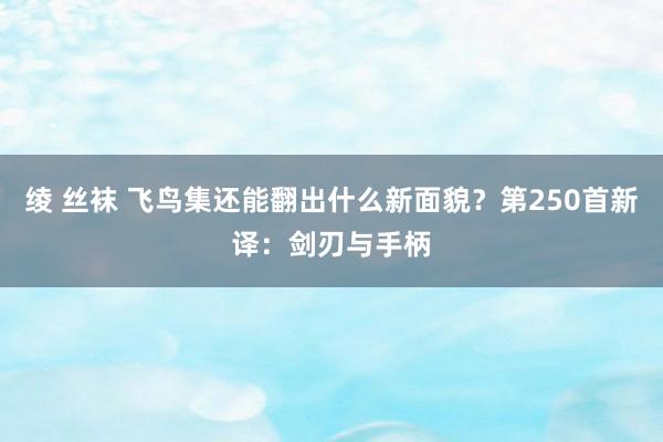 绫 丝袜 飞鸟集还能翻出什么新面貌？第250首新译：剑刃与手柄