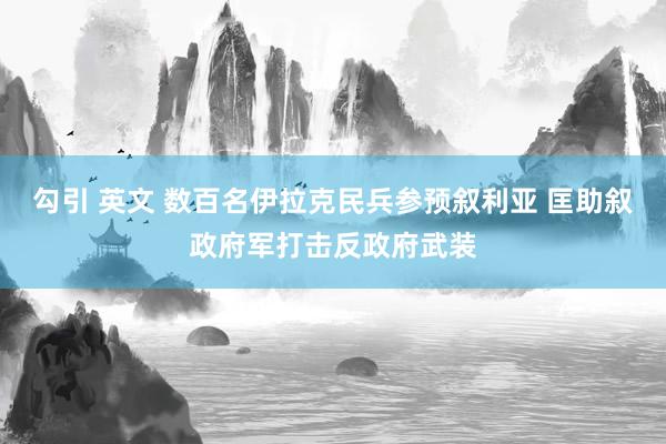 勾引 英文 数百名伊拉克民兵参预叙利亚 匡助叙政府军打击反政府武装