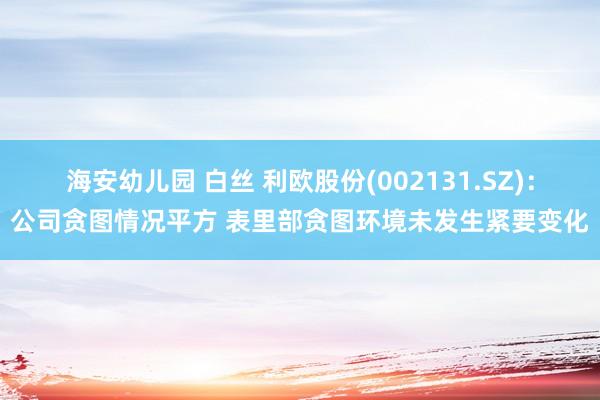 海安幼儿园 白丝 利欧股份(002131.SZ)：公司贪图情况平方 表里部贪图环境未发生紧要变化