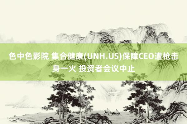 色中色影院 集合健康(UNH.US)保障CEO遭枪击身一火 投资者会议中止