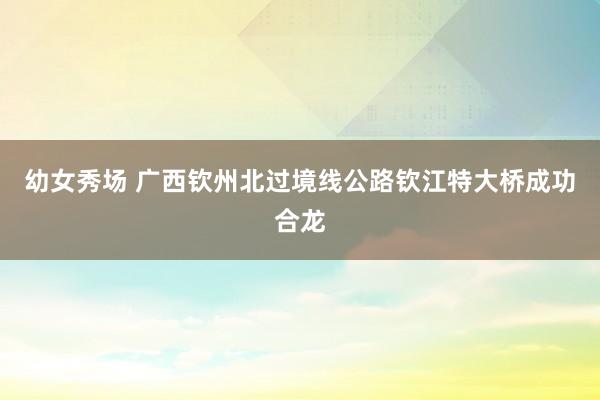 幼女秀场 广西钦州北过境线公路钦江特大桥成功合龙