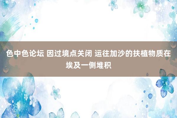 色中色论坛 因过境点关闭 运往加沙的扶植物质在埃及一侧堆积