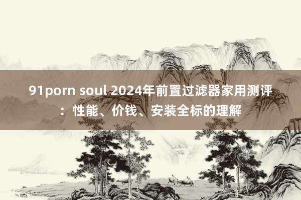 91porn soul 2024年前置过滤器家用测评：性能、价钱、安装全标的理解