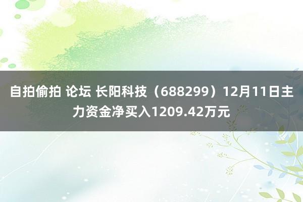 自拍偷拍 论坛 长阳科技（688299）12月11日主力资金净买入1209.42万元