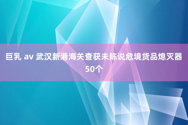 巨乳 av 武汉新港海关查获未陈说危境货品熄灭器50个