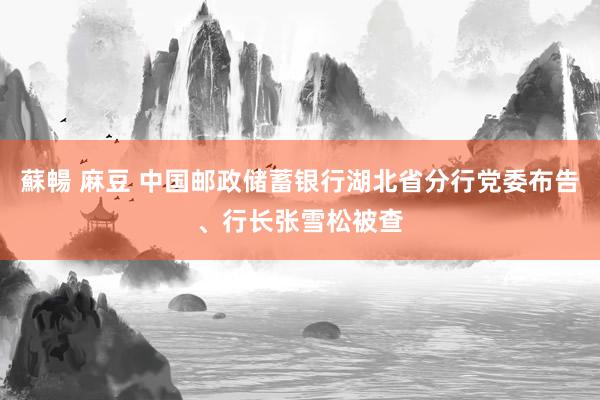 蘇暢 麻豆 中国邮政储蓄银行湖北省分行党委布告、行长张雪松被查